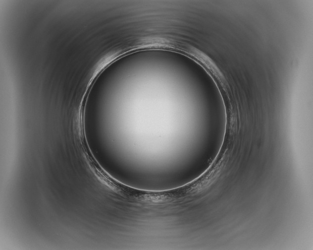 X0000116421242200912081457