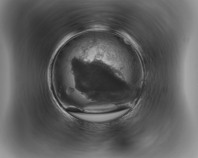 X0000116421243200912081457