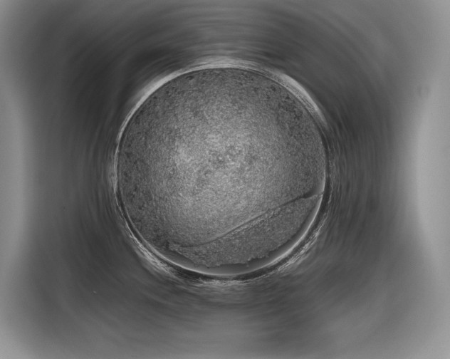 X0000116421244200912081457
