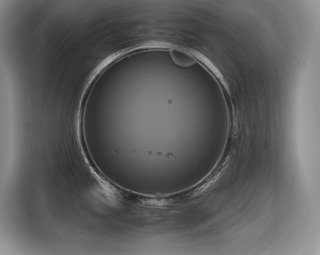 X0000116421245200912081457