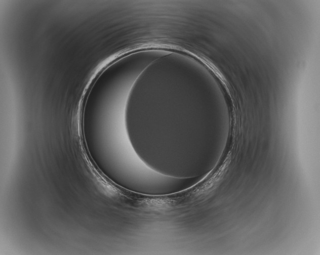 X0000116421246200912081458