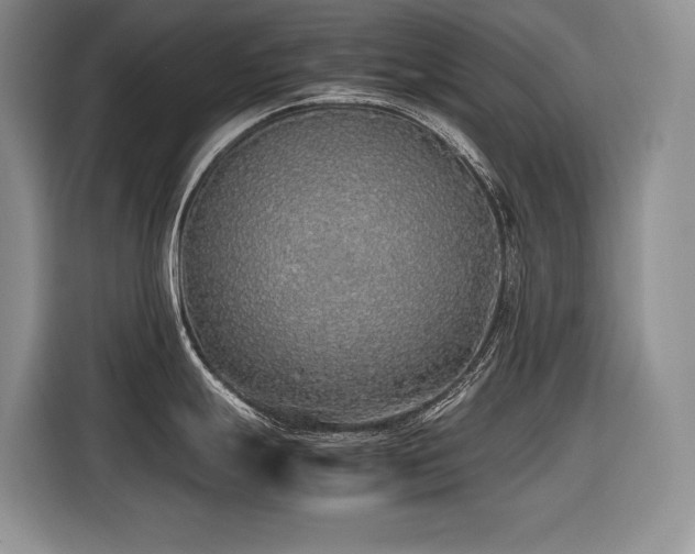 X0000116421247200912081458
