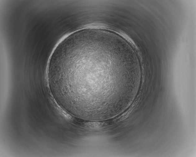 X0000116421248200912081458
