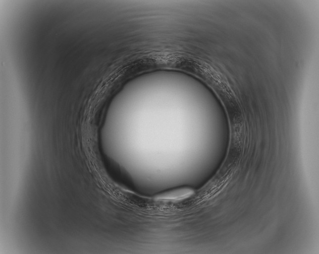 X0000116421249200912081457