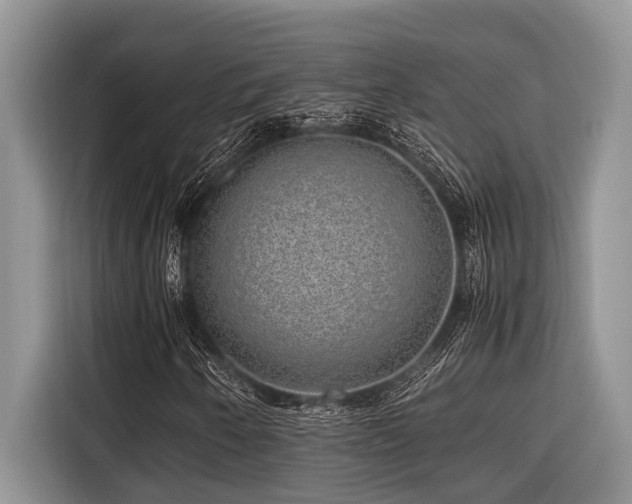 X0000116421250200912081457