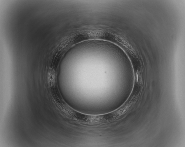X0000116421251200912081457