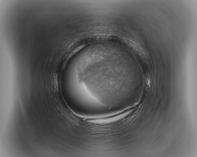 X0000116421252200912081457
