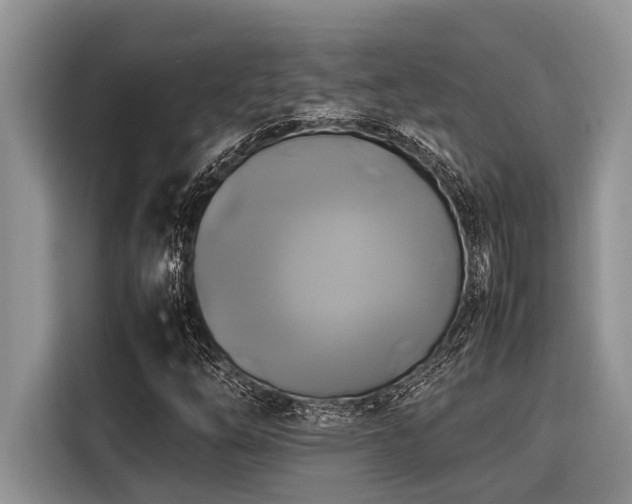 X0000116421254200912081457