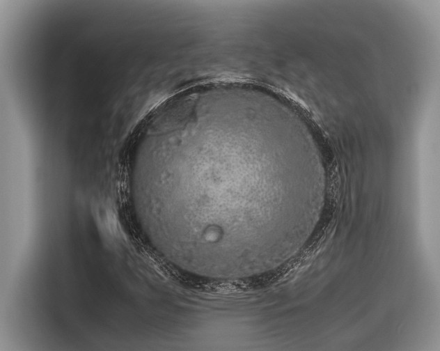 X0000116421255200912081457