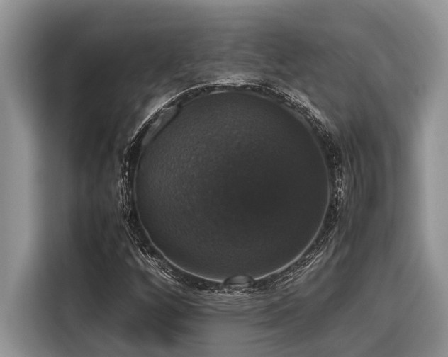 X0000116421256200912081457