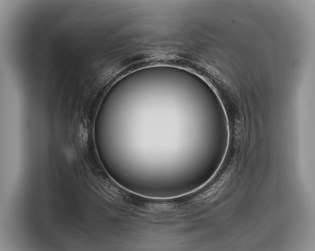 X0000116421257200912081457
