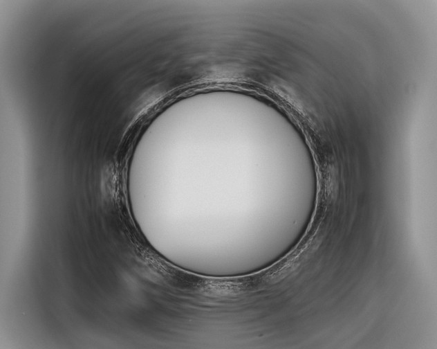 X0000116421258200912081457