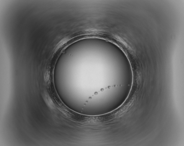 X0000116421259200912081457