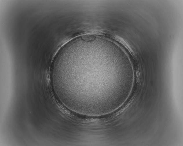 X0000116421260200912081457
