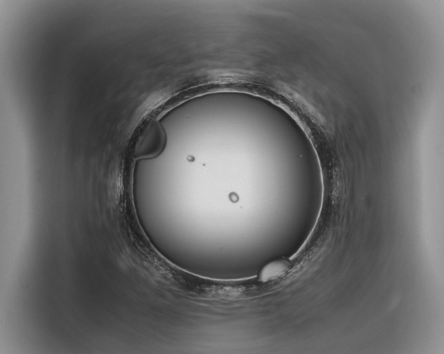 X0000116421261200912081457