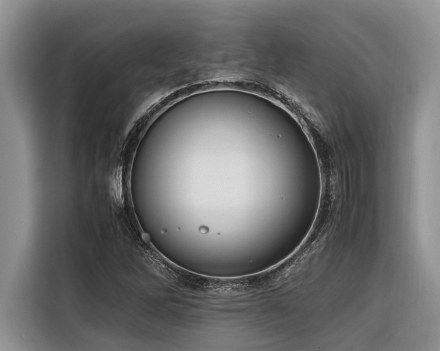 X0000116421262200912081457