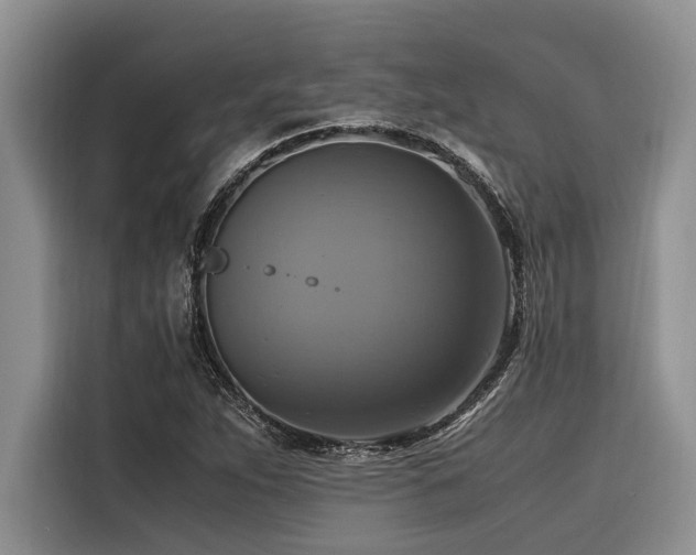 X0000116421263200912081457