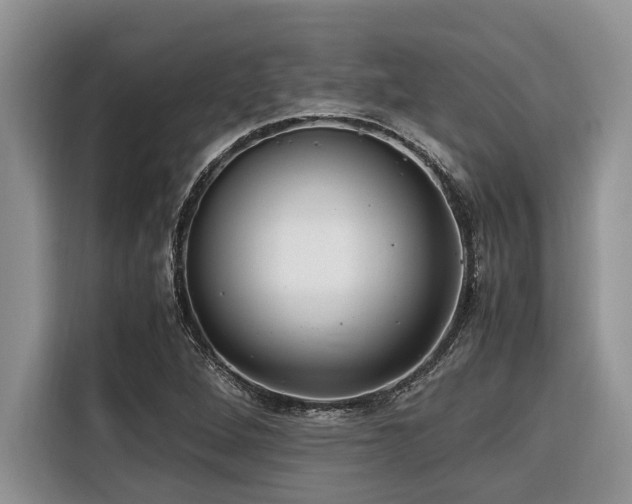 X0000116421264200912081457