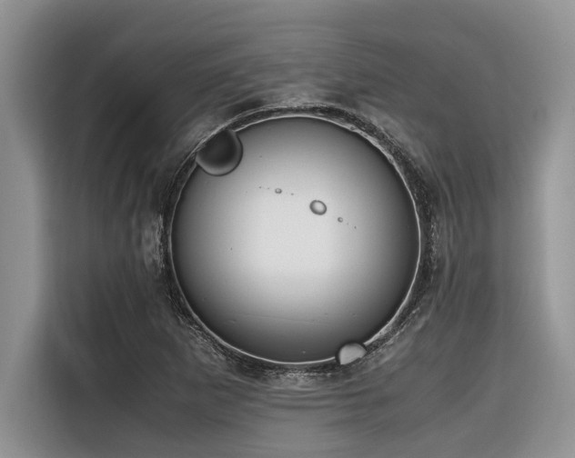 X0000116421265200912081457