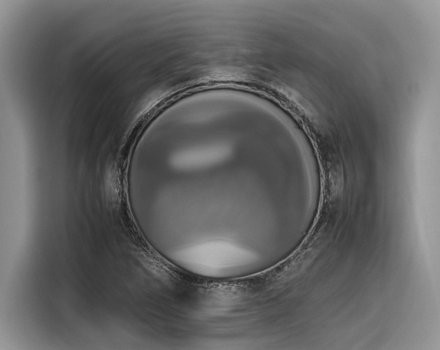 X0000116421266200912081457