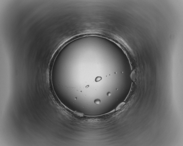 X0000116421268200912081457