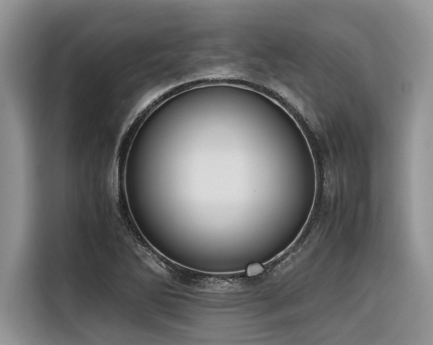 X0000116421270200912081457