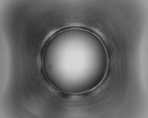 X0000116421271200912081457