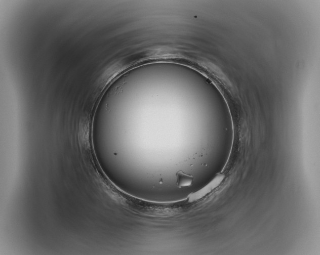 X0000116421273200912081457