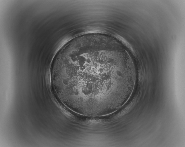 X0000116421274200912081457