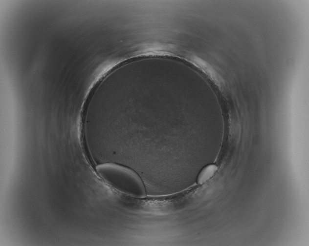 X0000116421277200912081457