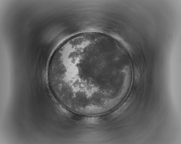 X0000116421278200912081457