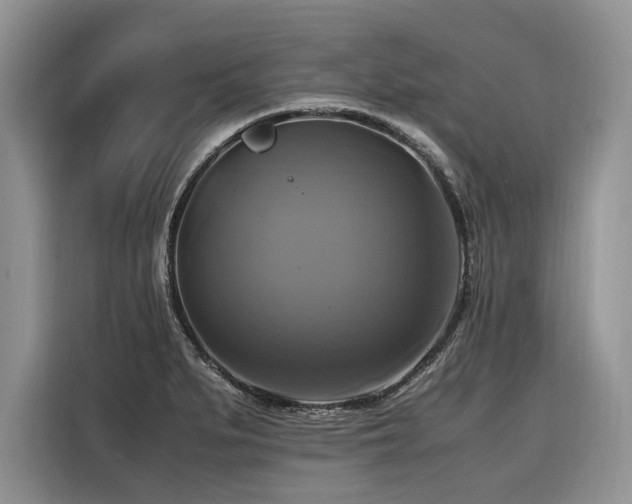 X0000116421279200912081457