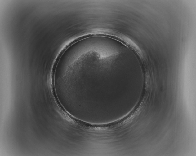 X0000116421280200912081456