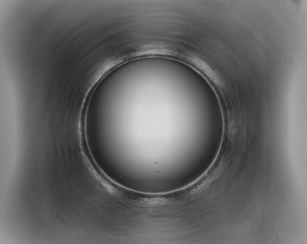 X0000116421282200912081456