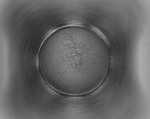 X0000116421284200912081456