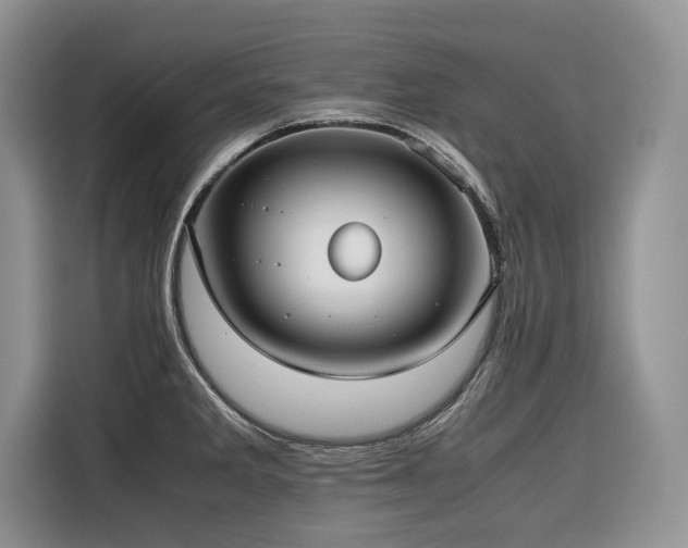 X0000116421285200912081456