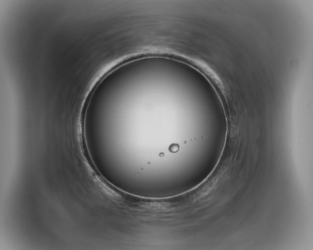 X0000116421287200912081456