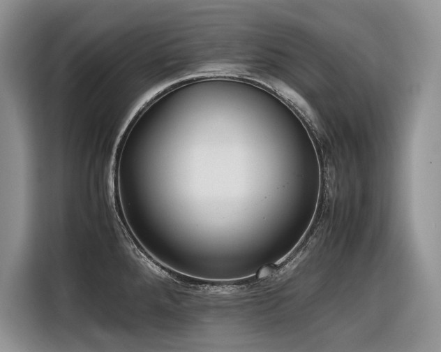X0000116421288200912081456