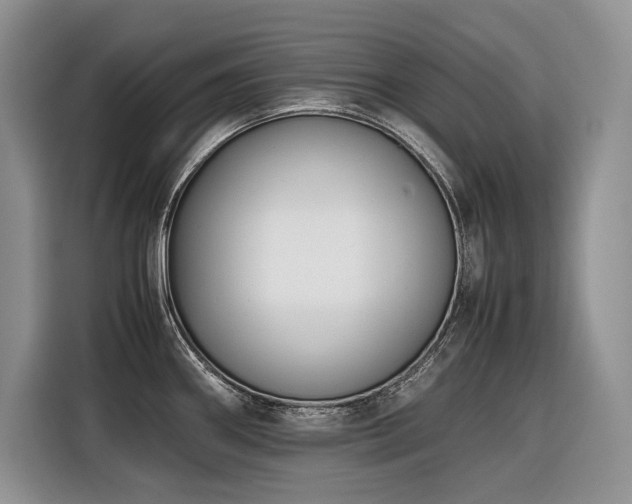 X0000116421290200912081456