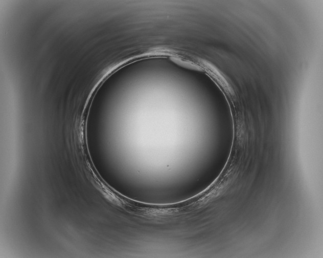 X0000116421292200912081456