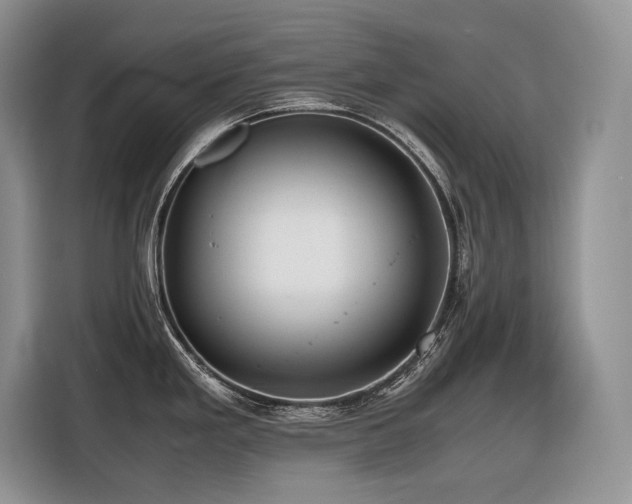 X0000116421293200912081456