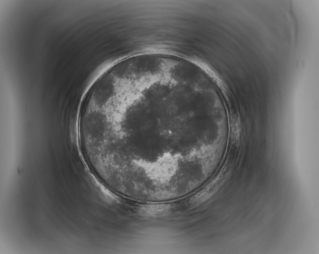 X0000116421294200912081456
