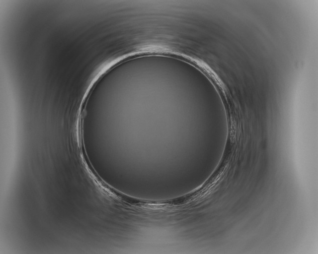 X0000116421295200912081456