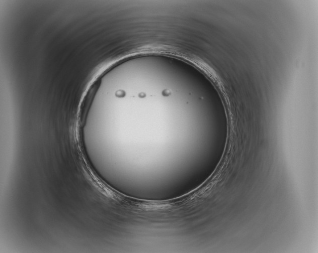 X0000116421296200912081456