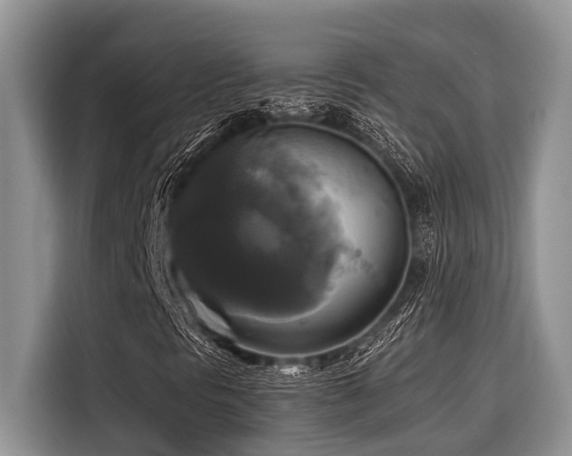 X0000116421297200912081456