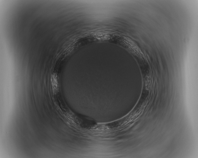 X0000116421298200912081456