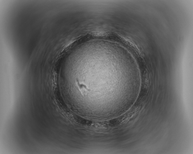 X0000116421301200912081456
