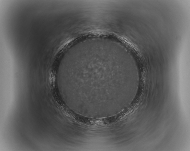X0000116421302200912081456
