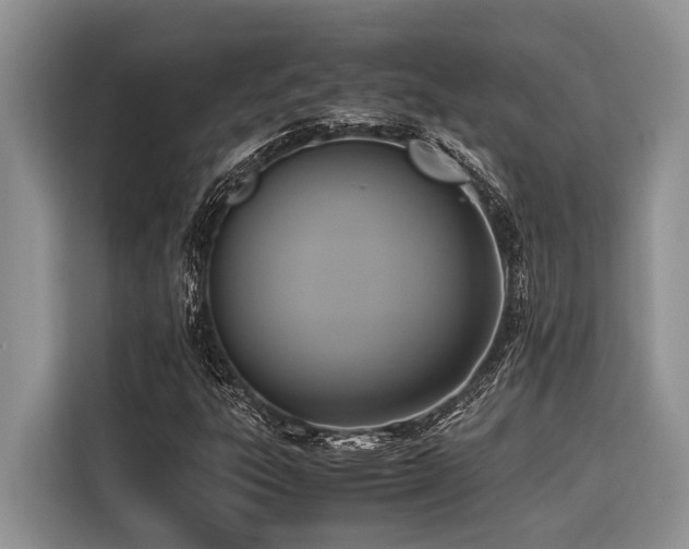 X0000116421303200912081456