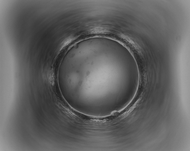 X0000116421306200912081456